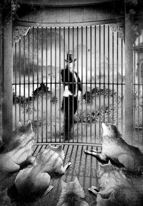 Drácula y los lobos